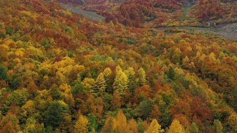Aerial View Beatiful Autumn Background Video stock 117832185