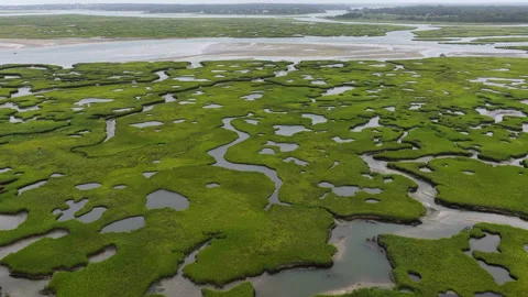 Aerial View of a Beautiful and Extensive Salt Marsh in New England Stock Footage 341987399