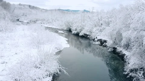 Aerial view of beautiful clean river and amazing covered snowy forest at winter Stock Footage 294034423