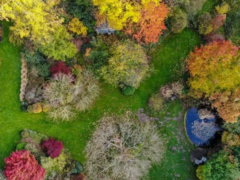 Aerial view of beautiful colorful garden during autumn season. Stock Photos