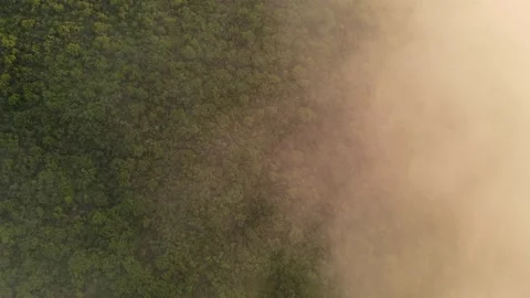 Aerial view of Beautiful field in clouds Stock Footage 157869655