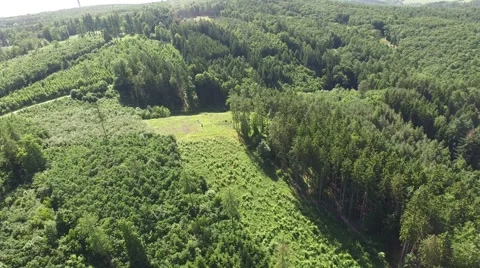 Aerial view of beautiful forest and green meadows Stock Footage 63945587