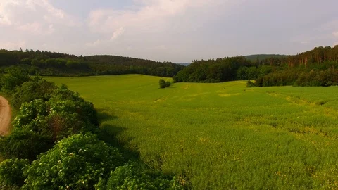 Aerial view of beautiful forest and green meadows Stock Footage 89700951