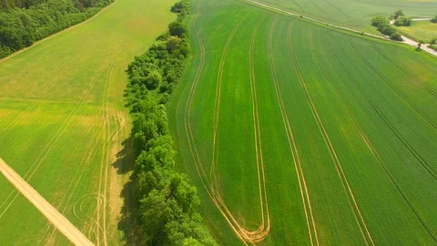 Aerial view of beautiful forest and green meadows Stock Footage 89700959