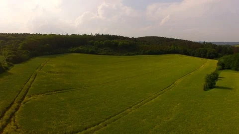 Aerial view of beautiful forest and green meadows Stock Footage 89700976