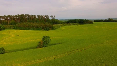 Aerial view of beautiful forest and green meadows Stock Footage 89701136