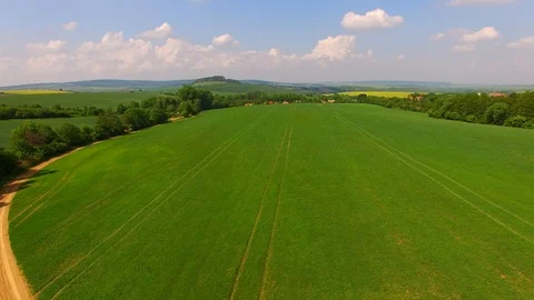 Aerial view of beautiful forest and green meadows Stock Footage 89702852