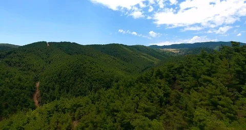 Aerial view beautiful forest and road move left. 4K 動画素材 91977180