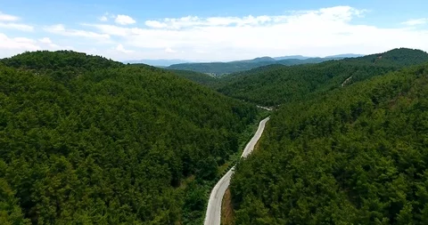Aerial view beautiful forest and road move forward. 4K Stock Footage 91977504