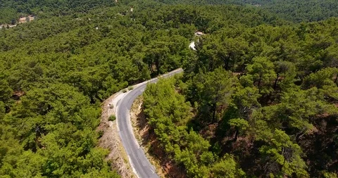 Aerial view beautiful forest and road move forward. 4K Stock Footage 91977609