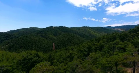 Aerial view beautiful forest and road move forward. 4K Stock Footage 91977854