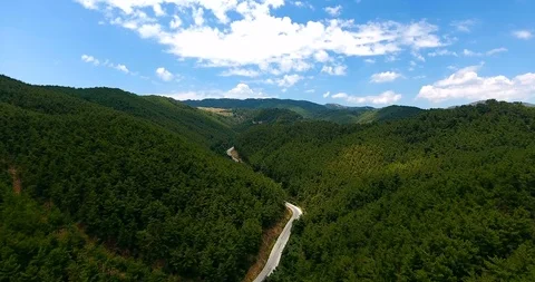 Aerial view beautiful forest and road move forward. 4K Stock Footage 91977979