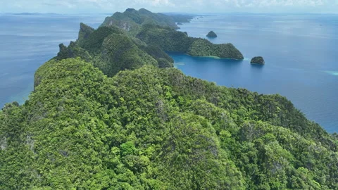 Aerial View of Beautiful, Forest-Covere Limestone Islands in Raja Ampat Stock Footage 241518261