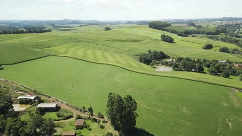 Aerial view of beautiful green fields in countryside. Farms. Agriculture. 4K. Stock Footage 233105842