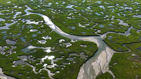 Aerial View of a Beautiful Marsh Growing on the Coast of Cape Cod, MA Vídeo Stock 342368131