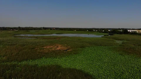 Aerial view of the beautiful meadow. Stock Footage 118163282