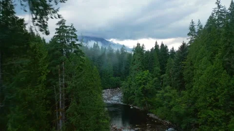 Aerial view of beautiful mountain landscape. A river flows among tall trees Stock Footage 247594853