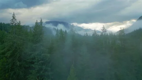Aerial view of beautiful mountain landscape. Fog rises over the mountain slopes Video stock 252242118