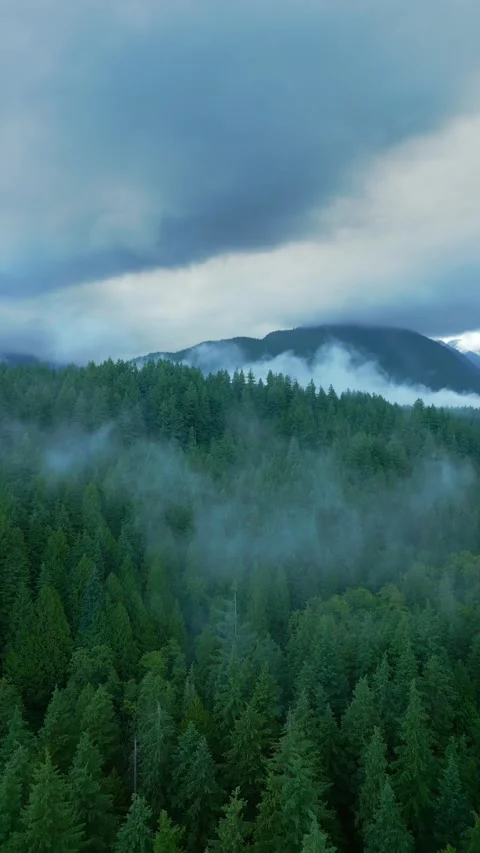 Aerial view of beautiful mountain landscape. Fog rises over the mountain slopes 스톡 동영상 252242255
