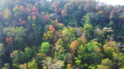 Aerial view of beautiful mountain landscape with colorful forest in autumn. Stock Footage 301199708