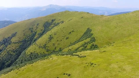 Aerial view of beautiful mountain meadow Video stock 80247385