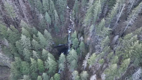 Aerial View of a Beautiful Oregon Waterfall Amid the Columbia River Gorge Stock Footage 300142853