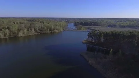 Aerial view of beautiful pine forest near lake Stock Footage 74370239