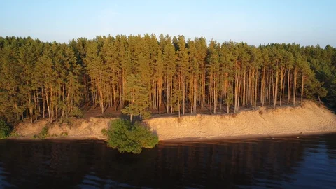 Aerial view. Beautiful pine forest on the steep sandy Bank of the river or lake. Vidéo 97854818