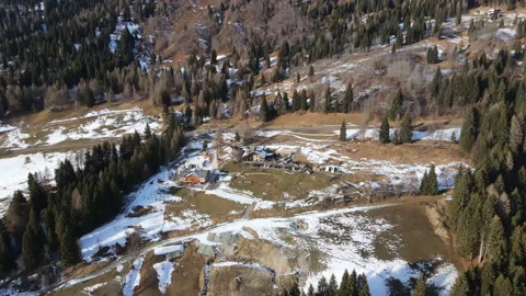 Aerial view of beautiful pine trees forest panorama in sunlight, majestic Swiss Stock-Footage 228914711