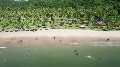 Aerial view of a beautiful, pristine tropical beach with palm trees and calm 動画素材 320522230