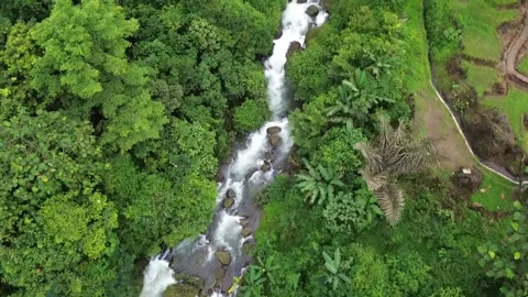 Aerial view of a beautiful river flowing through a tropical forest. Stock Footage 324740189