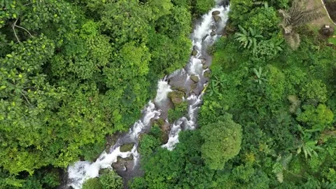 Aerial view of a beautiful river flowing through a tropical forest. Stock Footage 324740271