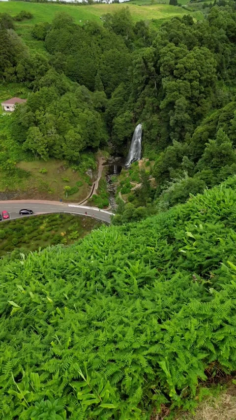Aerial view of beautiful road in landscape with green fields Video stock 243583853