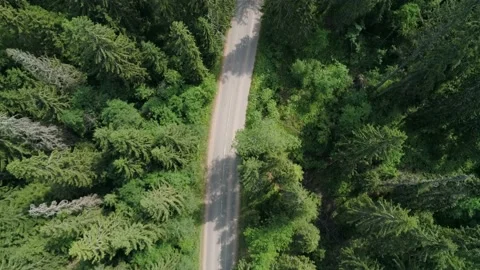 Aerial view of a beautiful road through the forest. Road between the green trees Stock-Footage 185285046