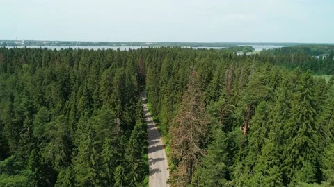 Aerial view of a beautiful road through the forest. Road between the green trees Stock Footage 186974476