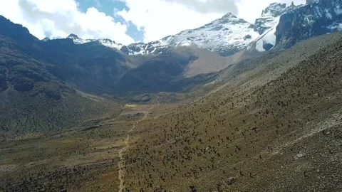 Aerial view of beautiful succulent forest in mountains in Kenya Video stock 87733244