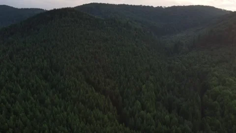 Aerial view of beautiful summer mountain range Stock Footage 339633451