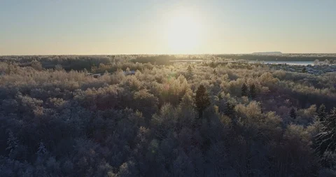 Aerial view of beautiful sunset at winter forest. Stock Footage 102227698