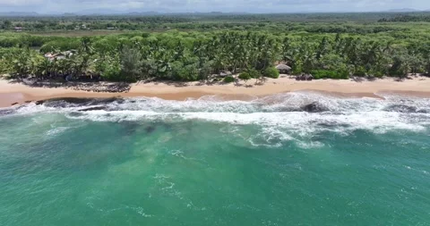 Aerial view of beautiful tropical beach in Sri Lanka Stock Footage 315380928