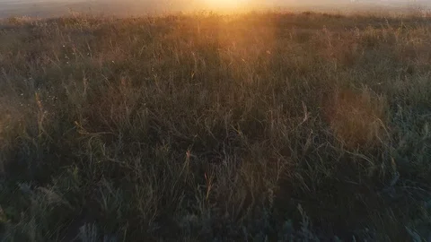 Aerial view of a beautiful valley, during sunset. Stock Footage 113100746