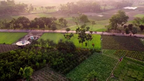 Aerial view of a beautiful village in Bnagladesh Stock Footage