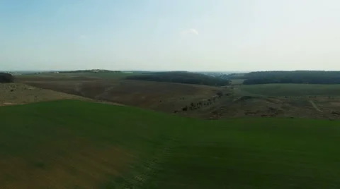 Aerial view of beautiful wheat fields, trees, green landscape, horizon, blue sky Video stock 62309046