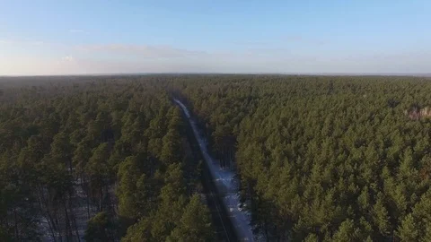 Aerial View. Beautiful winter forest in sunny day. Road between the trees. Stock Footage 71444844