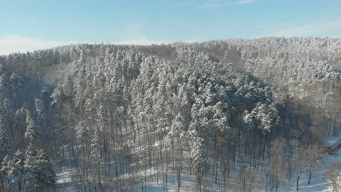 Aerial view of beautiful winter forest, morning Stock Footage 149201837