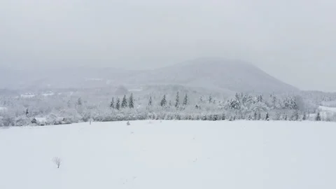 Aerial view of beautiful winter forest, snow-covered fields and mountains Stock Footage 167539643