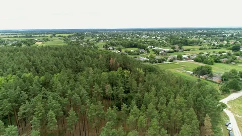 Aerial view of a beautiful young pine forest on a summer day near the village Stock Footage 149137478