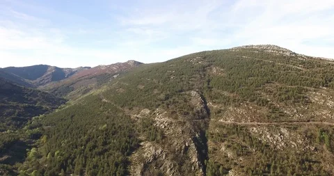 Aerial view of Beech Forest Stockbeeldmateriaal 88367423