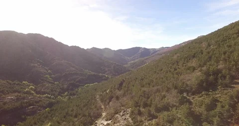 Aerial view of Beech Forest Stockbeeldmateriaal 88367496