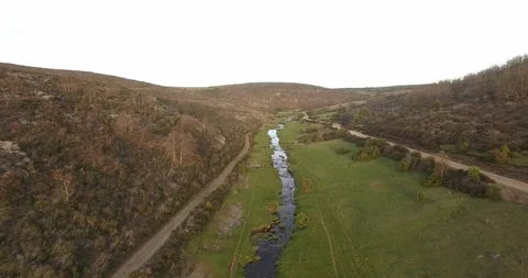 Aerial view of Beech Forest Stockbeeldmateriaal 88367891