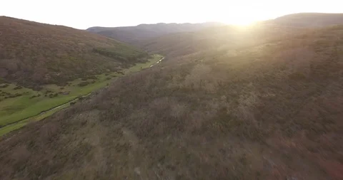 Aerial view of Beech Forest Spain Stockbeeldmateriaal 87375971
